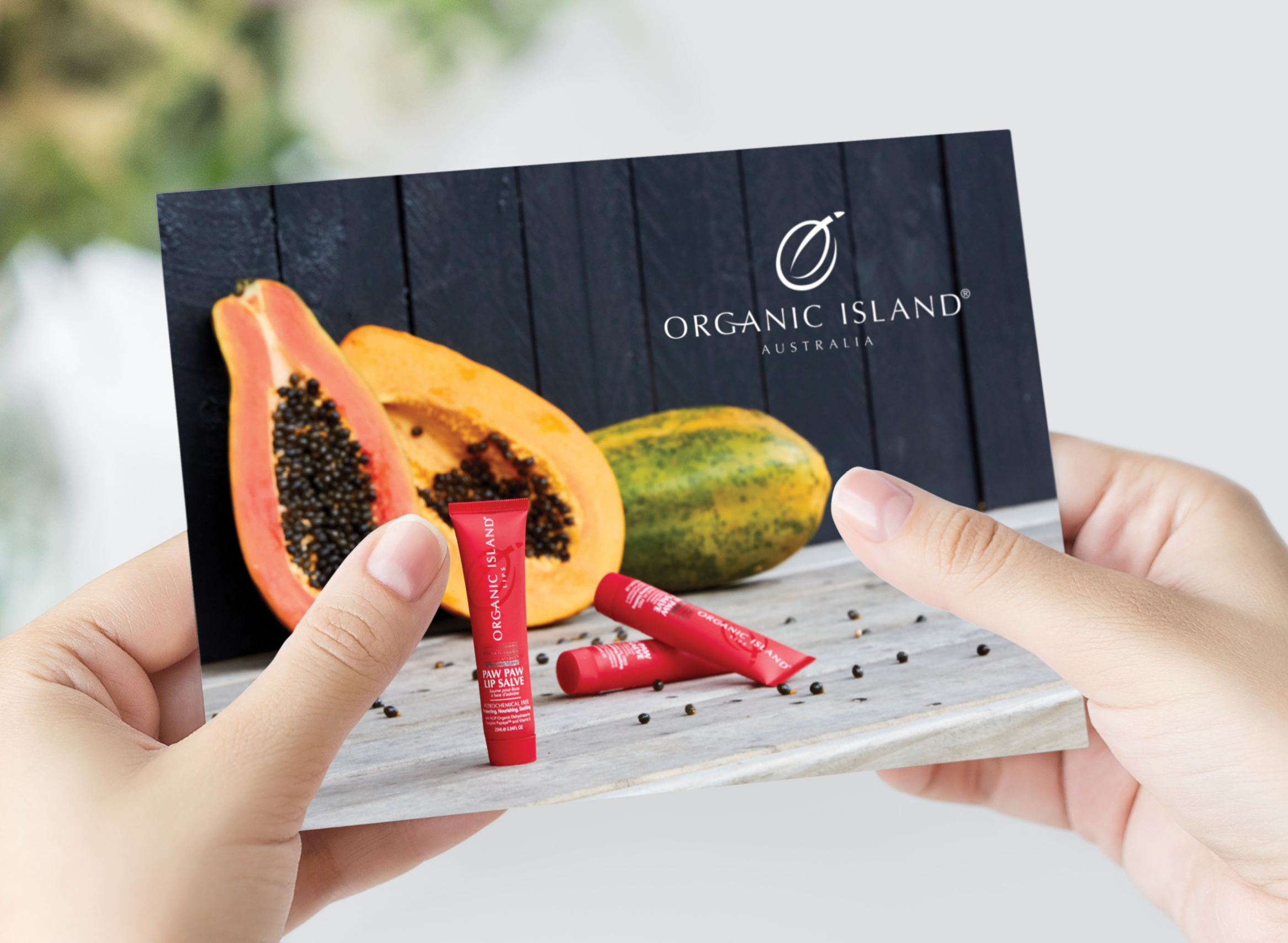 organic island thank you postcard